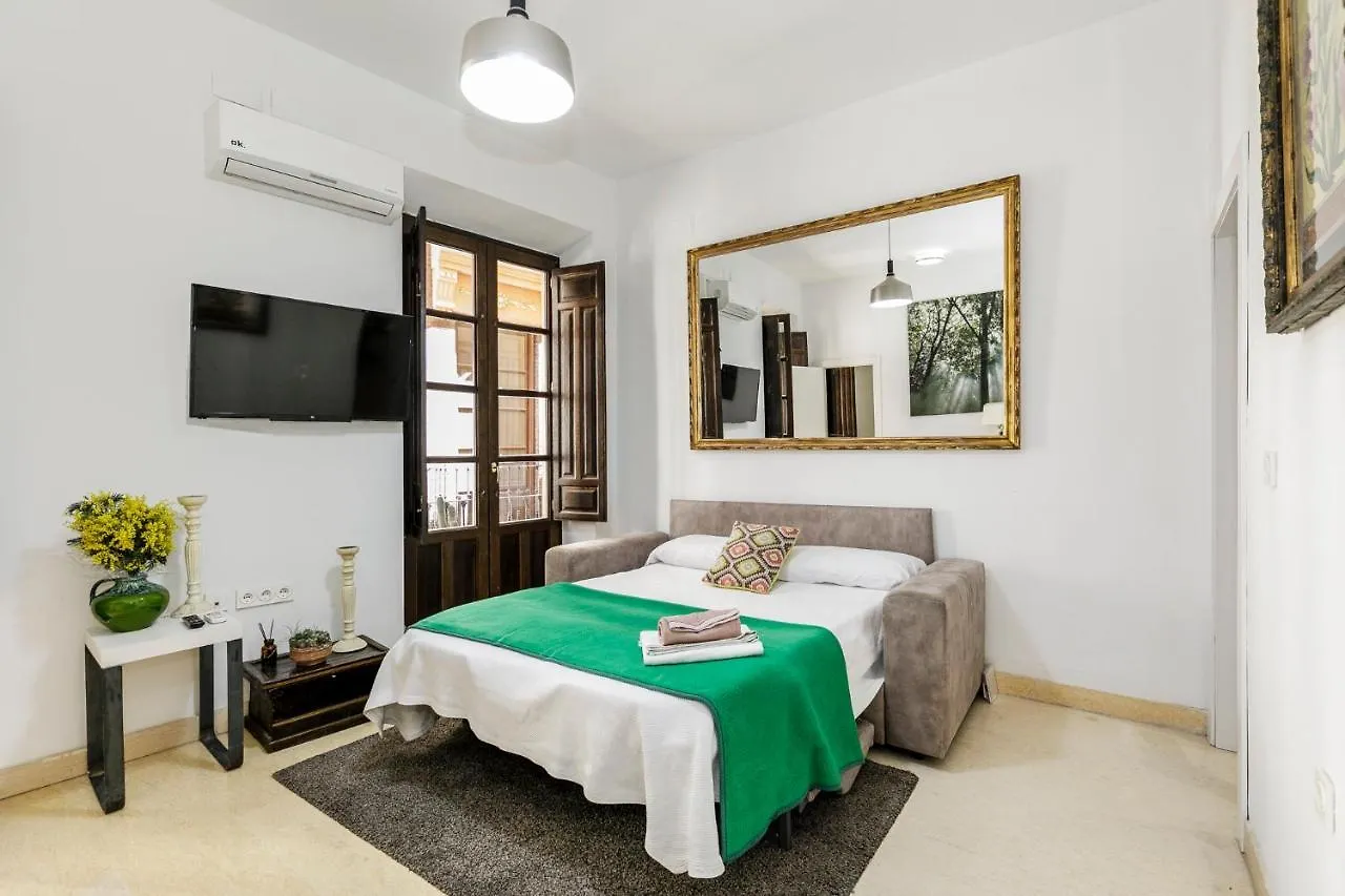 Apartamento Alcaiceria Granada Apartment