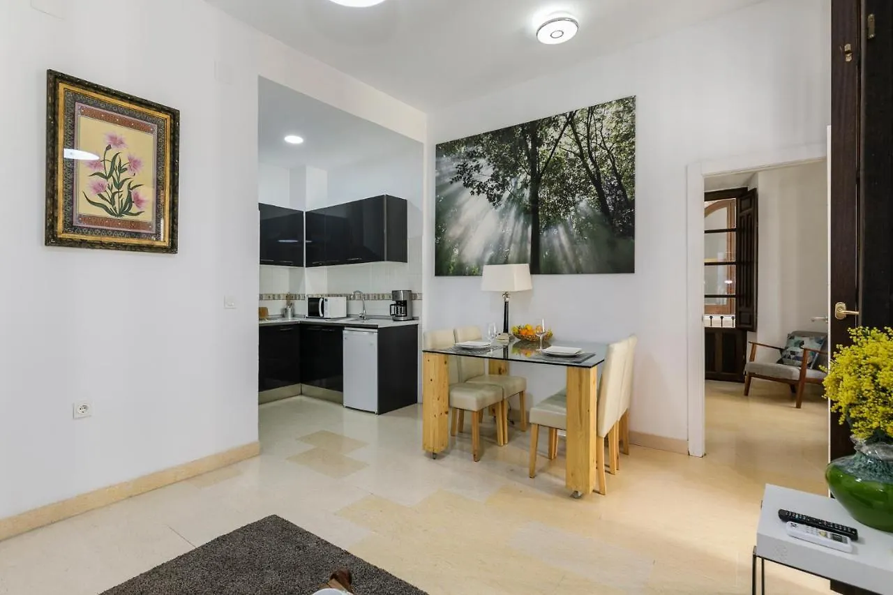 Apartamento Alcaiceria Granada Apartment 0*,