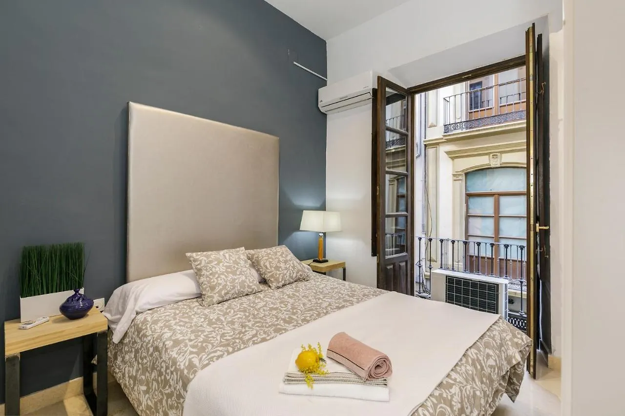 Apartamento Alcaiceria Granada Apartment